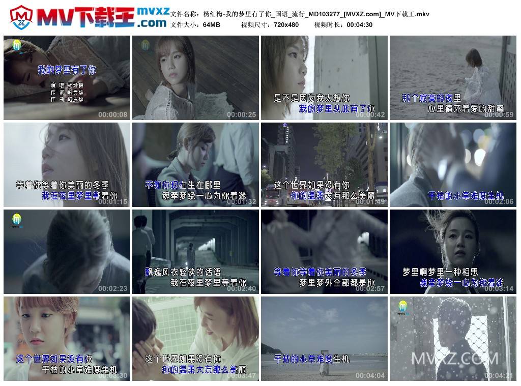 杨红梅-我的梦里有了你_国语_流行_MD103277